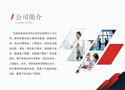 岳陽(yáng)信息技術(shù)咨詢服務(wù)項(xiàng)目策劃與招商計(jì)劃書